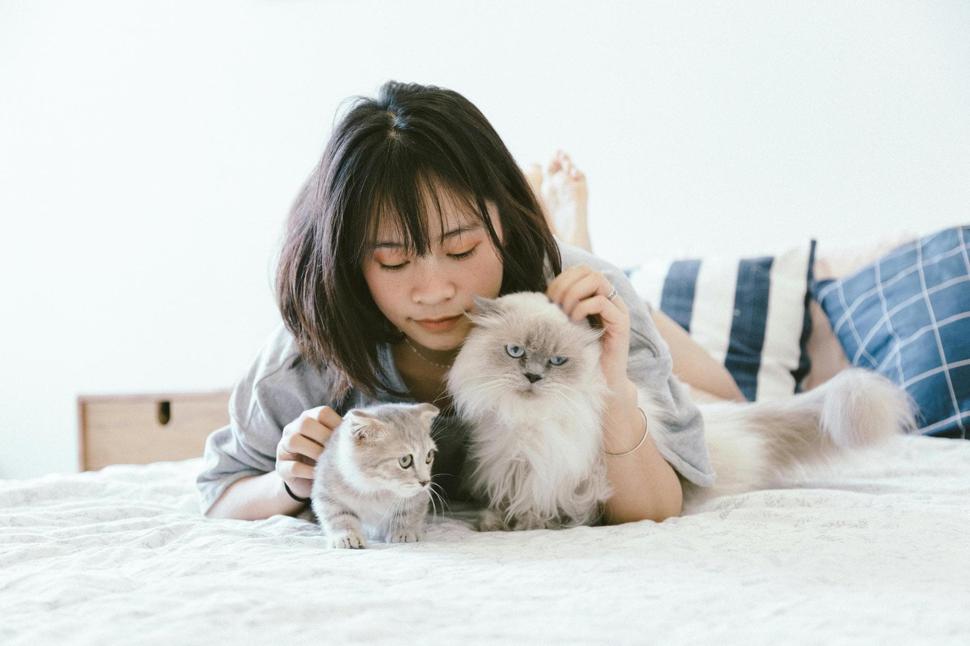 Dog & Cat Vets in Beaver Dam